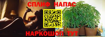 MESCALINE Гатчина
