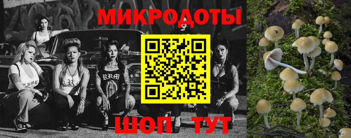Псилоцибиновые грибы Psilocybine cubensis  Вход с VPN  даркнет сайт  Чебаркуль 