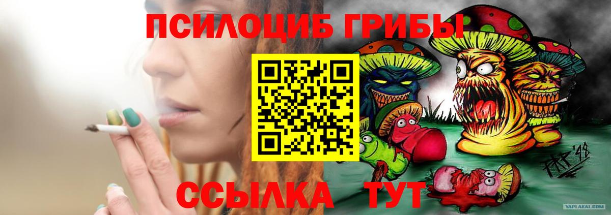 Галлюциногенные грибы GOLDEN TEACHER Чебаркуль